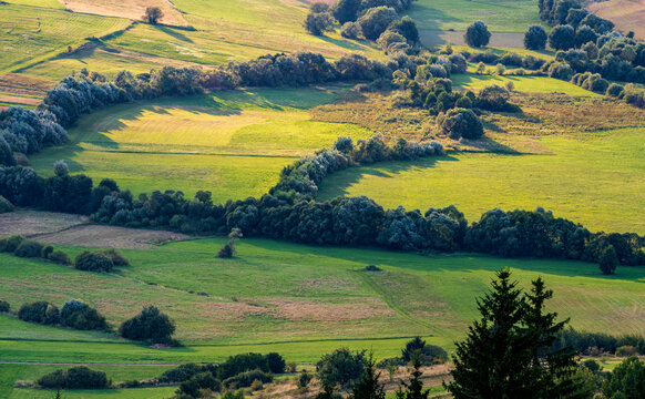 Aerial View of Late Summer Farmland with Harvested Fields and Trees. 