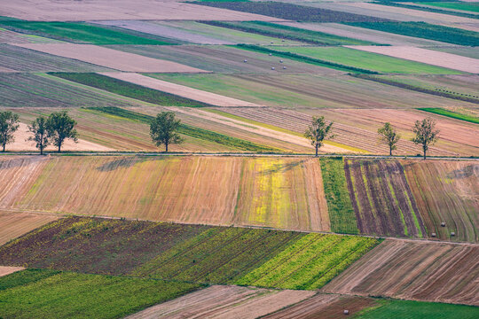 Late Summer Agricultural Landscape with Harvested Fields and Hay Bales.