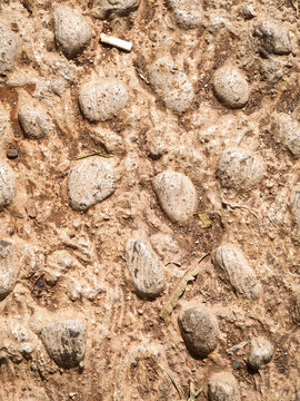 Natural Textured Pebble Reflexology Stone Footpath Surface Background Detail. Reflexology stones used for massaging the soles of the feet.