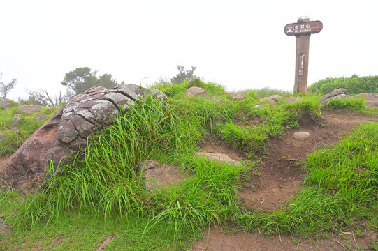 伊豆半島　山霧の伊豆山稜線歩道　夏の金冠山山頂
