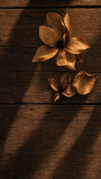 Dried Flowers and Shadow Stripes on a Wooden Background