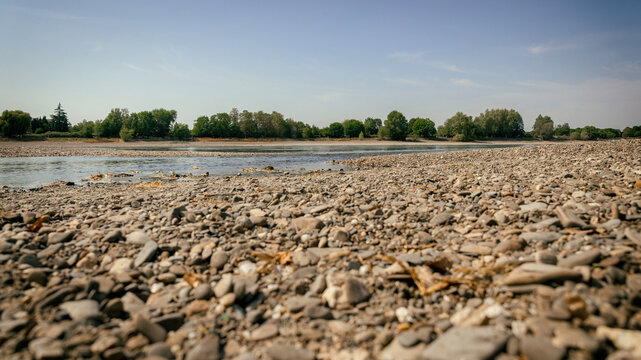 Extremes Niedrigwasser am Rhein mit gro&szlig;fl&auml;chig freiliegendem, trockenem Flussbett als Symbol f&uuml;r D&uuml;rre, Wasserknappheit und Folgen des Klimawandels in Deutschland.