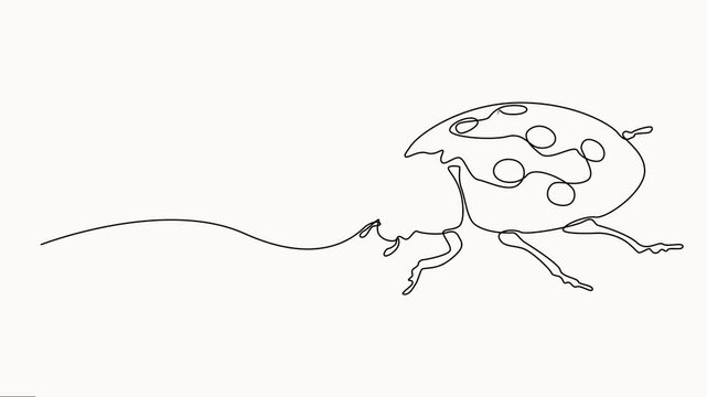 Animation of a single one line drawing of adorable ladybug for logo identity. Little insect mascot concept for bug lover vector on white background.