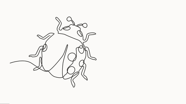 Animation of a single one line drawing of adorable ladybug for logo identity. Little insect mascot concept for bug lover vector on white background.