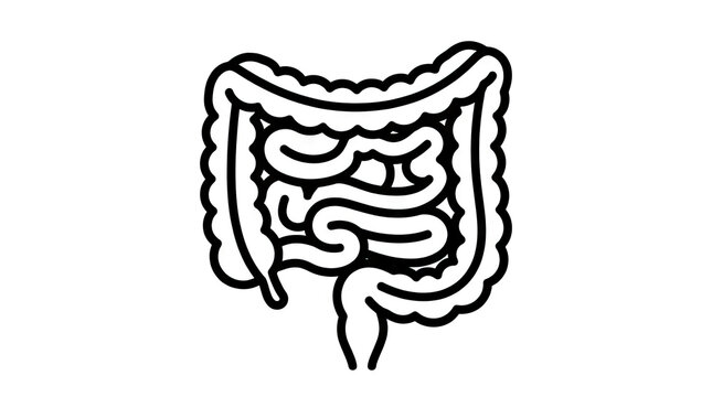 Line art illustration of human large and small intestine.
