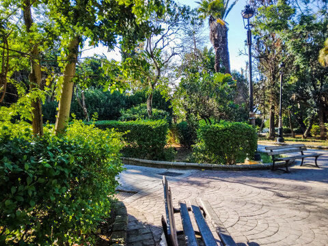 Peaceful public park featuring wooden benches positioned on a patterned stone walkway surrounded by lush green trees and high iron lamp posts under bright sunlight