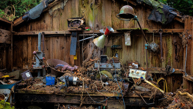 Old Dilapidated Shed