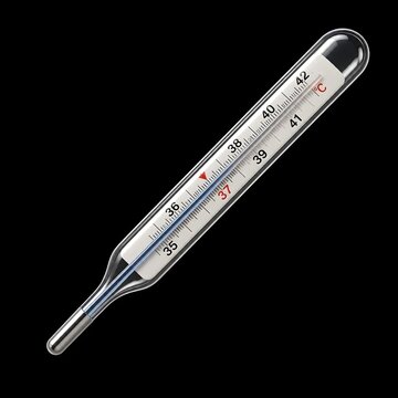 Realistic Mercury Glass Thermometer Medical Instrument
