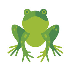 Fototapeta premium Green Frog Illustration Isolated