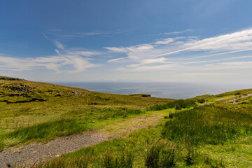 Fototapeta premium Grassy hills roll toward calm ocean horizon