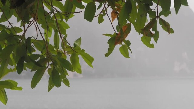 Ratchaprapha Dam on a rainy day at khao sok national park, surat thani province thailand featuring spectacular limestone mountains shrouded in mist.