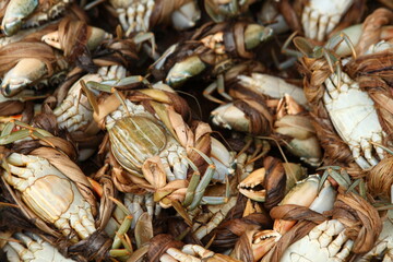 Close up view of live sea crabs tied with traditional straw ropes at an Asian seafood market  © younsse