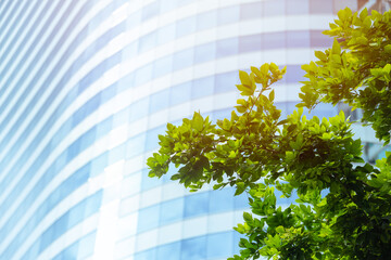 Modern Green Office tower energy saving building. Green Metro. Green tree in Business downtown.