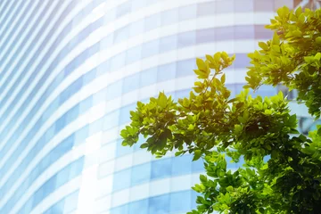Fototapete Sportgeschäft Modern Green Office tower energy saving building. Green Metro. Green tree in Business downtown.  © Quality Stock Arts