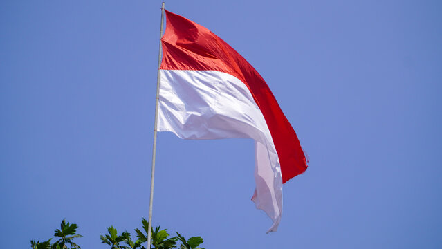Indonesian flag red and white fluttering high against a bright blue sky for the 81st Independence Day.