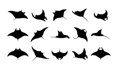 Fototapeta premium Collection of black silhouette manta rays swimming in various positions