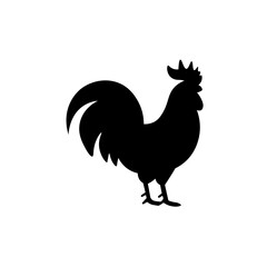 rooster isolated on white background © Najibs
