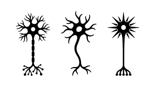 Human Nerve Cells and Biological Neurons Silhouette Icons