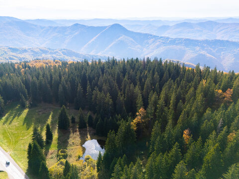 Aerial view of a small mountain forest pond surrounded by evergreen spruces and a bright golden autumn tree