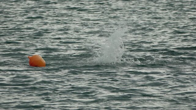 Open sea swimming by determined adult male athlete using butterfly stroke next to orange safety buoy outdoors. Static shot.