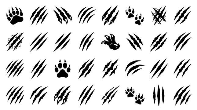 Animal Claw Scratch Marks and Paw Prints Silhouette Icon Set Featuring Wild Beast Shred Rip Scrapes Slash Tears and Predator Tracks for Aggressive Monster Sports Branding