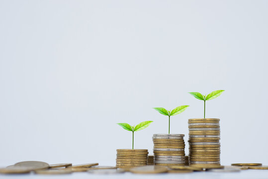 coin stack money saving concept. green leaf plant growth on rows of coin on white background. money matters tips to investment and business financial banking for Financial Wellness.money management.