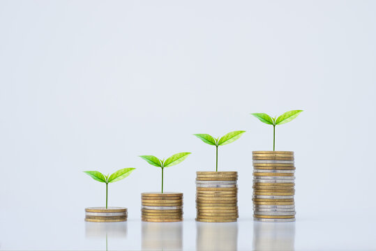 coin stack money saving concept. green leaf plant growth on rows of coin on white background. money matters tips to investment and business financial banking for Financial Wellness.money management.