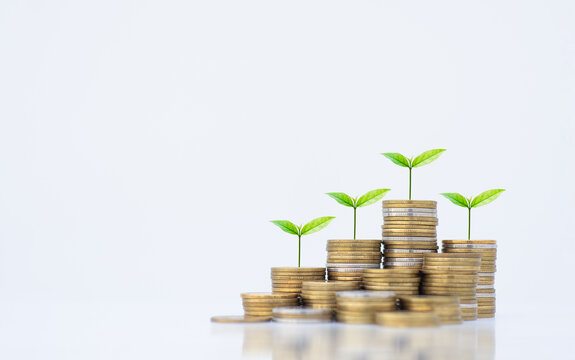 coin stack money saving concept. green leaf plant growth on rows of coin on white background. money matters tips to investment and business financial banking for Financial Wellness.money management.