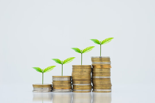 coin stack money saving concept. green leaf plant growth on rows of coin on white background. money matters tips to investment and business financial banking for Financial Wellness.money management.