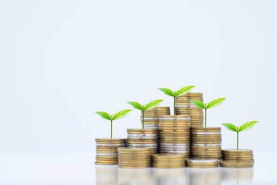 coin stack money saving concept. green leaf plant growth on rows of coin on white background. money matters tips to investment and business financial banking for Financial Wellness.money management.