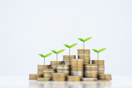 coin stack money saving concept. green leaf plant growth on rows of coin on white background. money matters tips to investment and business financial banking for Financial Wellness.money management.
