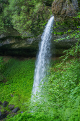 Waterfall cascades in the lush greenery of Silver Falls State Park © KRoberts