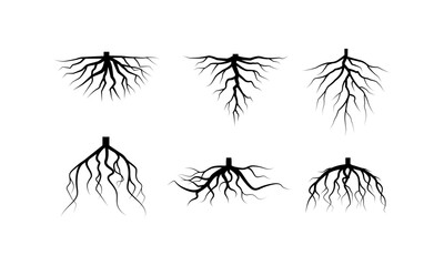 Fototapeta premium Plant Root System Silhouettes