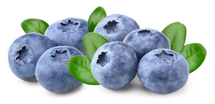 blueberries with green leaf isolated on white background. macro. clipping path