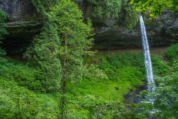 Waterfall cascades through lush greenery at Silver Falls State Park © KRoberts