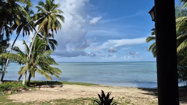 Tropical Beach View With Palm Trees and Calm Ocean Cook Islands Rarotonga