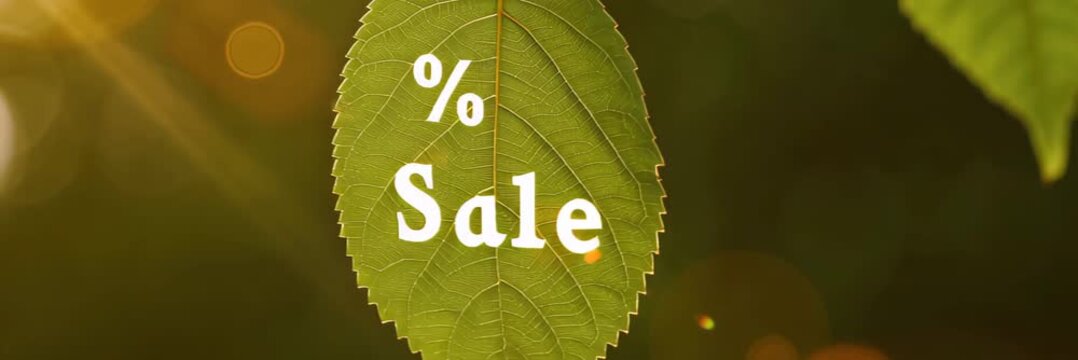 Percent Sale text displayed on green leaf in sunlight, eco discount concept for retail website banner with copy space