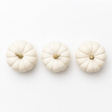 minimalist autumn / fall concept or greeting / invitation card for thanksgiving with three white pumpkins in a row - top view / flat lay