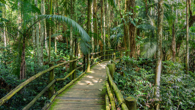 Jardim Bot&acirc;nico - S&atilde;o Paulo - Brasil
