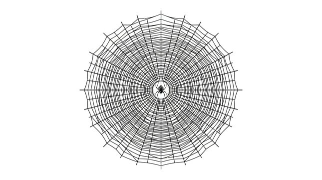 Halloween Spiderweb set. Halloween and autumn background. Horror concept illustration. Scary texture. Horror concept for greeting cards, party decoration, flyers and stickers vector