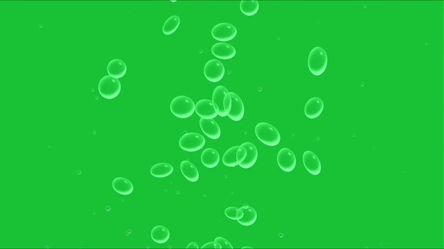 soap bubble green screen footage, perfect for templates, editing, creator content, etc