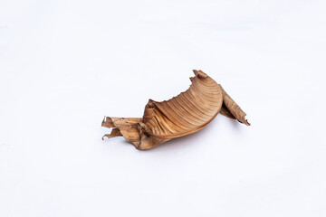 Obraz premium Dried Banana Leaf with Brown Natural Texture on White Background, Dead Dry Banana Leaf Isolated on White Background