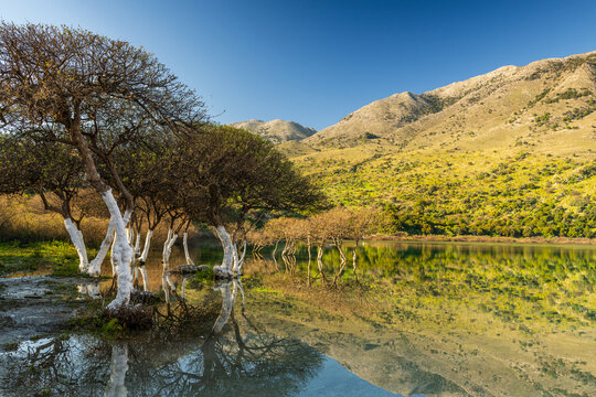 Lake Kournas Landscape with Reflections in Crete, Greece