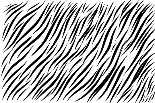 tiger stripe skin pattern