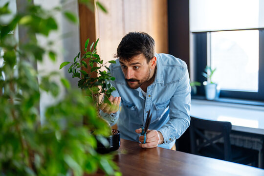 Man taking care of his houseplants, love for nature and the importance of sustainability at home