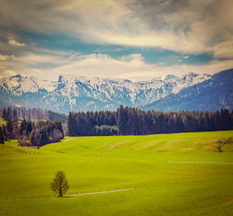 Naklejka premium Scene featuring vintage retro hipster style travel view of German idyllic pastoral countryside in spring with Alps in background. Bavaria, Germany