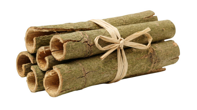 Bundle of cinnamon sticks tied with raffia isolated on transparent background