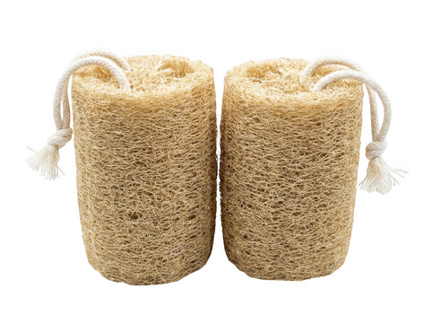 Two natural loofah sponges isolated on transparent background