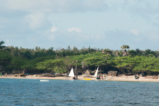 Landscape of Rameshwaram beach, Rameswaram, India.