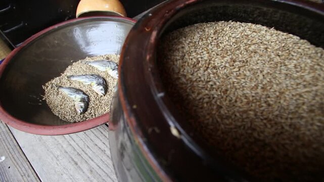 Korea barley dried yellow croaker bori gulbi earthenware crock pot seafood ingredient 생선 전통 보리굴비 굴비 항아리 옹기 보리 쌀 보관 숙성 건어물 수산물 한식 식재료